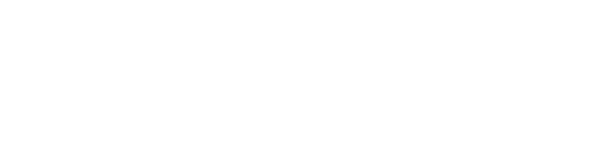 PHS Group 